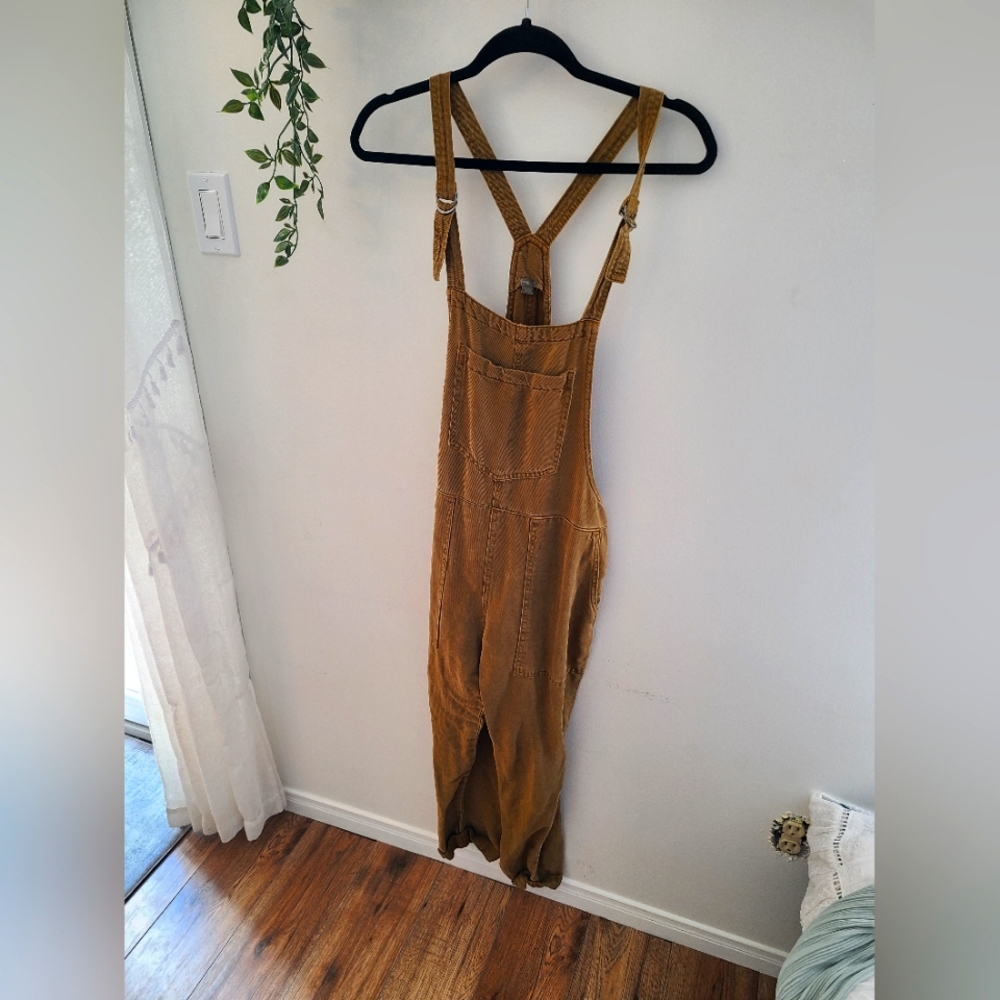 Aerie Overalls